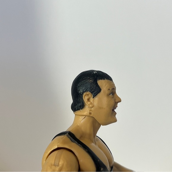 1999 Titan Tron Jakks Jerry the King Lawler Wrestler Wrestling Action Figure WWE - Picture 11 of 15